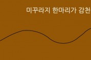 [만평] 일어혼전 김천(一漁混全 金泉)