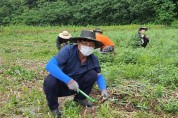 김천시 상하수도과, 양파농가 농촌일손돕기